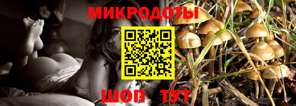 что такое   Вход с VPN  Удомля  Псилоцибиновые грибы MAGIC MUSHROOMS 